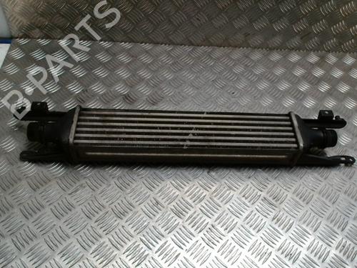Ladeluftkühler für OPEL CORSA D (S07) 1.3 CDTI (L08, L68) (75 hp) 31227814