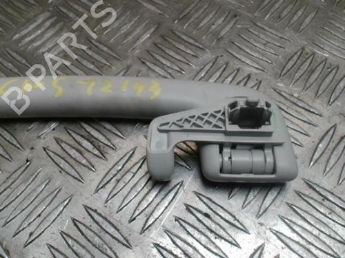 Interior roof handle RENAULT CLIO V (B7_) 1.5 Blue dCi 85 (B7AG) | BP30508645I35 