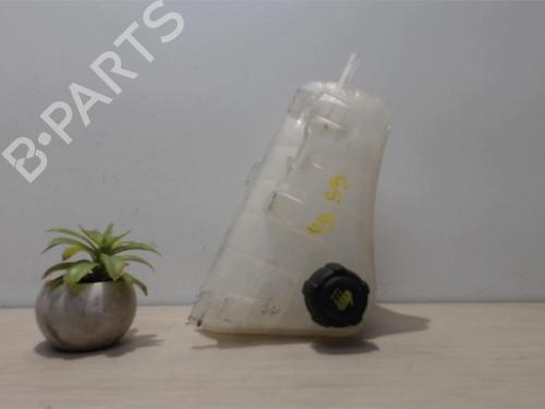 Used Expansion tank RENAULT KANGOO Express (FW0/1_) 1.5 dCi 75 (FW07, FW10, FW04) (75 hp) 25392213
