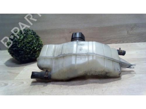 Expansion tank RENAULT CLIO III (BR0/1, CR0/1) 1.5 dCi (BR17, CR17) | BP25383881C120 