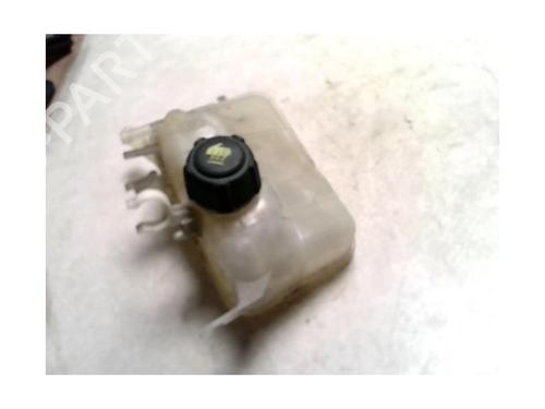 Expansion tank RENAULT SCÉNIC III (JZ0/1_) 1.5 dCi | BP25428223C120