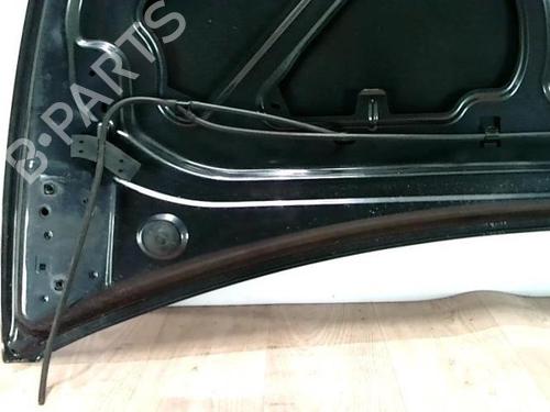 Hood RENAULT CLIO III (BR0/1, CR0/1) 1.6 16V (BR05, BR0B, BR0Y, BR15, BR1J, BR1M, BR1Y, CR0B,... | BP28088660C1 