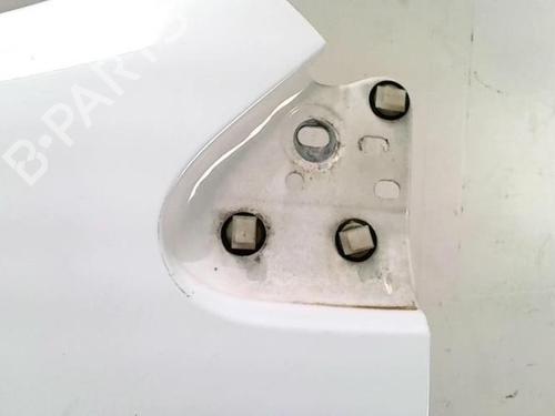 Left front fenders FORD TRANSIT CONNECT (P65_, P70_, P80_) 1.8 Di | BP27887515C41 