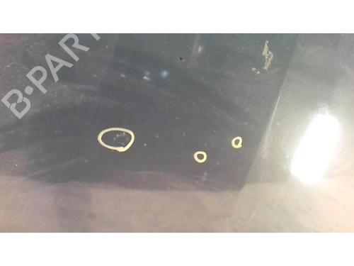 Hood RENAULT MEGANE II (BM0/1_, CM0/1_) 1.9 dCi | BP25428160C1 