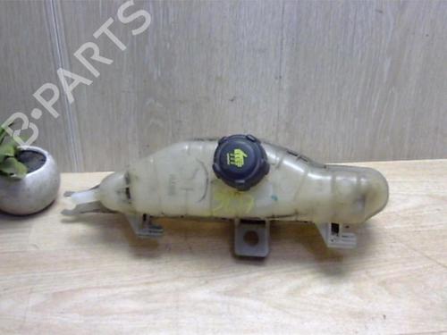 Used Expansion tank RENAULT CLIO III (BR0/1, CR0/1) 1.5 dCi (BR17, CR17) (86 hp) 25408881