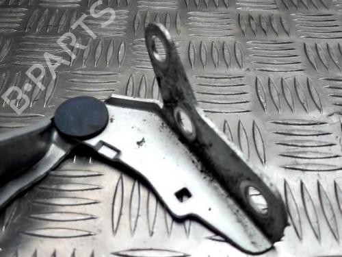 Hinge/Door check strap VW POLO (9N_, 9A_) 1.4 TDI | BP26179856C146 