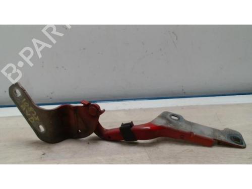Hinge/Door check strap RENAULT CLIO III (BR0/1, CR0/1) 1.5 dCi (BR17, CR17) | BP25419603C146 