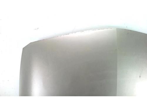 Hood RENAULT MEGANE II (BM0/1_, CM0/1_) 1.5 dCi (BM1E, CM1E) | BP25419862C1 