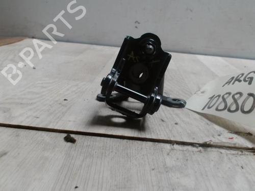 Used Hinge/Door check strap RENAULT MEGANE IV Hatchback (B9A/M/N_) 1.6 dCi 130 (B9A4) (130 hp) 30666556