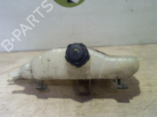 Used Expansion tank RENAULT MODUS / GRAND MODUS (F/JP0_) 1.5 dCi (FP0D, JP0D) (82 hp) 25388327
