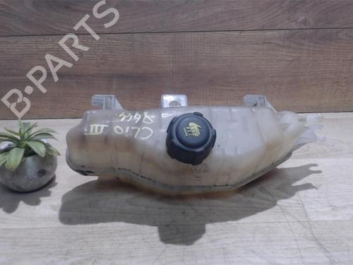 Used Expansion tank RENAULT CLIO III (BR0/1, CR0/1) 1.5 dCi (75 hp) 25385148
