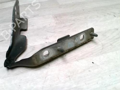 Hinge/Door check strap CITROËN C3 I (FC_, FN_) 1.4 HDi | BP25426678C146 