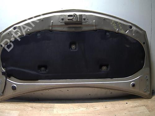 hood-renault-clio-iii-br01-cr01-2005-2006-2007-2008-2009-2010-2011-2012-2013-2014-31229630 main image