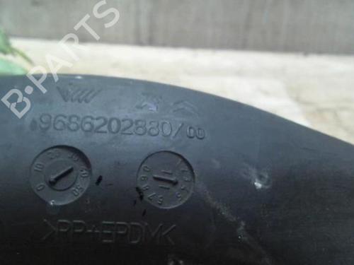 Pipe CITROËN C5 III (RD_) 1.6 HDi 110 (RD9HL0, RD9HR8, RD9HRA) | BP28683213M125 