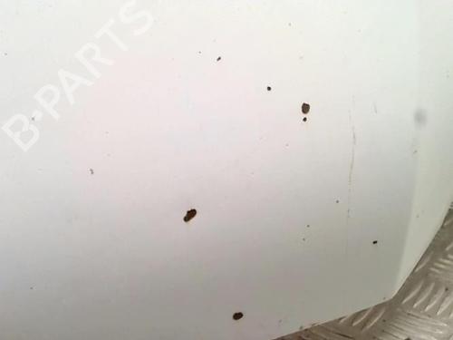 Hood FORD TRANSIT Van (FA_ _) 2.2 TDCi | BP30532474C1 