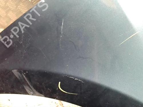 Right front fenders RENAULT CLIO III (BR0/1, CR0/1) 1.2 16V (BR02, BR0J, BR11, CR02, CR0J, CR11) | BP25425034C42 