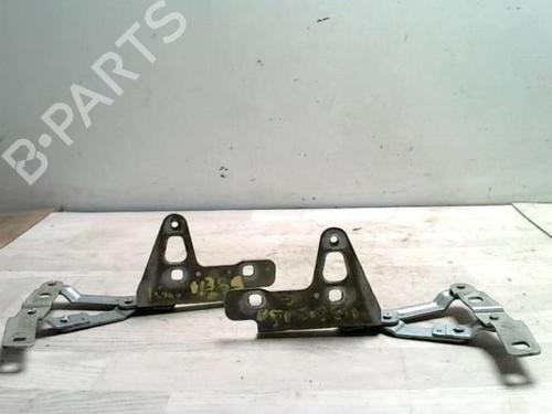 Hinge/Door check strap SEAT LEON (1P1) 1.9 TDI | BP27549699C146 