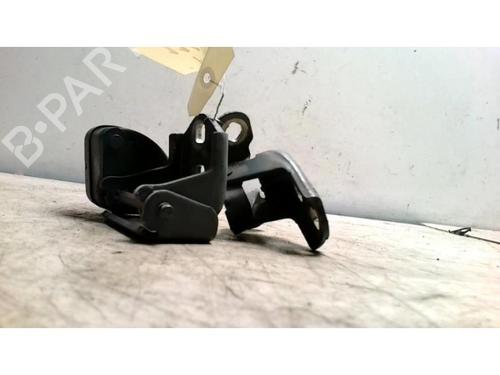 Hinge/Door check strap RENAULT MEGANE II (BM0/1_, CM0/1_) 1.9 dCi | BP25424897C146