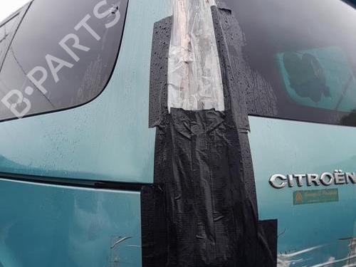 Hinge/Door check strap CITROËN C8 (EA_, EB_) 2.0 HDi | BP27989917C146 