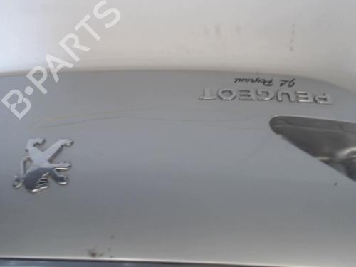 Tailgate PEUGEOT 307 CC (3B) 2.0 16V | BP30101671C6
