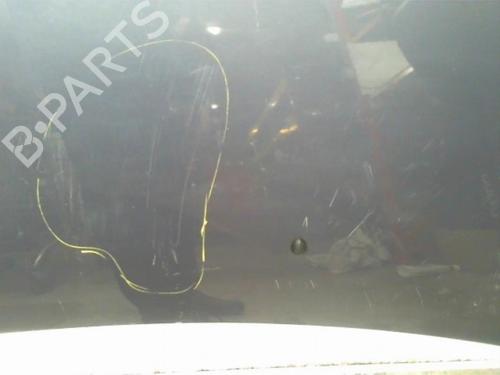 Hood RENAULT CLIO III (BR0/1, CR0/1) 1.5 dCi (BR17, CR17) | BP25408691C1 