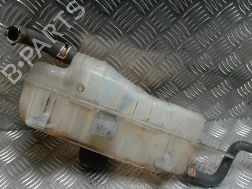 Expansion tank RENAULT CLIO III (BR0/1, CR0/1) 1.5 dCi (C/BR0G, C/BR1G) | BP29197503C120 