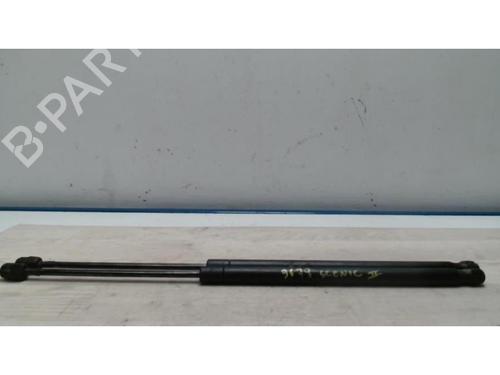 Tailgate lift support RENAULT SCÉNIC II (JM0/1_) 1.5 dCi (JM1E, JM16) | BP25419026C138 