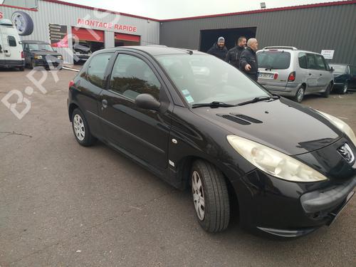 Right front door PEUGEOT 206+ (2L_, 2M_) 1.4 HDi eco 70 | BP32113903C3 
