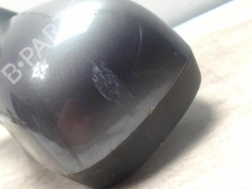 Left mirror RENAULT MEGANE II (BM0/1_, CM0/1_) 1.6 16V (BM0C, CM0C) | BP31238129C26