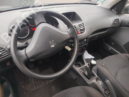 Right front door PEUGEOT 206+ (2L_, 2M_) 1.4 HDi eco 70 | BP32113903C3 