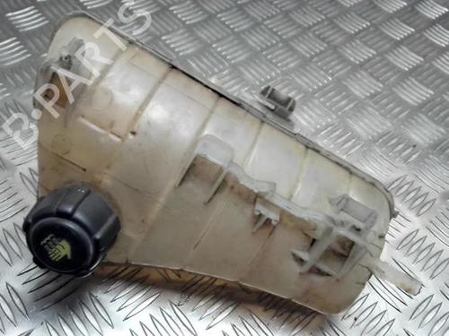 Expansion tank RENAULT KANGOO Express (FW0/1_) 1.5 dCi 75 (FW07, FW10, FW04) | BP26187994C120 