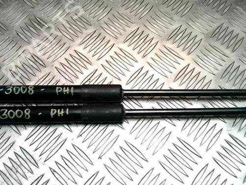 Tailgate lift support PEUGEOT 3008 I MPV (0U_) 1.6 HDi | BP25858168C138 