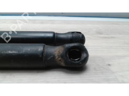 Tailgate lift support RENAULT SCÉNIC II (JM0/1_) 1.5 dCi (JM1E, JM16) | BP25419026C138 