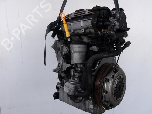 Motor VW FOX Hatchback (5Z1, 5Z3, 5Z4) 1.4 TDI (70 hp) 30666492