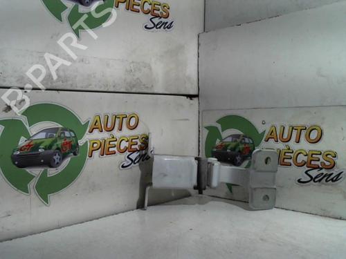 Used Hinge/Door check strap RENAULT KANGOO Express (FW0/1_) 1.5 dCi 90 (FW0G, FW05, FW08, FW11) (90 hp) 25399592