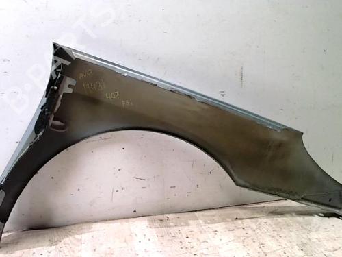 Used Left front fenders PEUGEOT 407 (6D_) 2.0 HDi 135 (6DRHRH, 6DRHRE, 6DRHRG, 6DRHRJ) (136 hp) 25425059