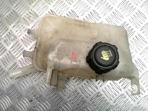 Expansion tank RENAULT SCÉNIC III (JZ0/1_) 1.6 dCi (JZ00, JZ12) | BP30809669C120