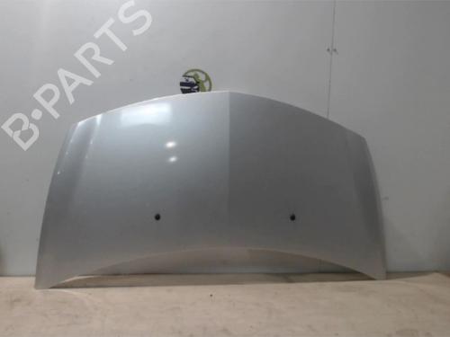 Used Hood RENAULT CLIO III (BR0/1, CR0/1) 1.2 16V (BR02, BR0J, BR11, CR02, CR0J, CR11) (75 hp) 25408471