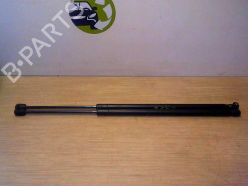 Tailgate lift support FORD FIESTA V (JH_, JD_) 1.3 | BP25391822C138 