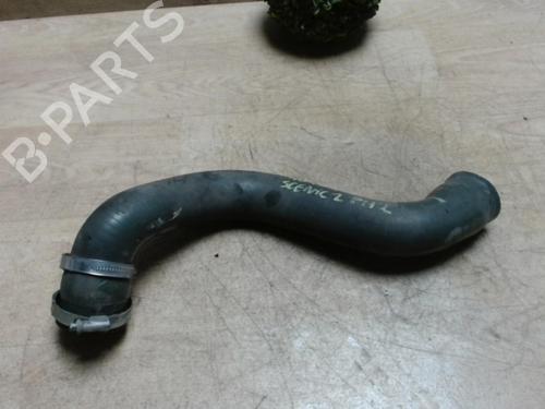 Pipe RENAULT SCÉNIC II (JM0/1_) 1.5 dCi (JM1E, JM16) | BP31231653M125