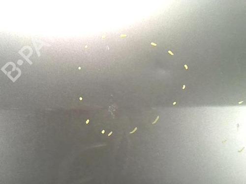 Left front door RENAULT SCÉNIC II (JM0/1_) 1.5 dCi (JM1E, JM16) | BP31231641C2