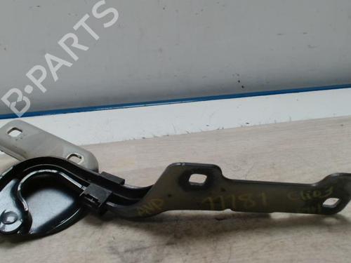 Used Hinge/Door check strap RENAULT CLIO III (BR0/1, CR0/1) 1.6 16V (BR05, BR0B, BR0Y, BR15, BR1J, BR1M, BR1Y, CR0B,... (112 hp) 25422273