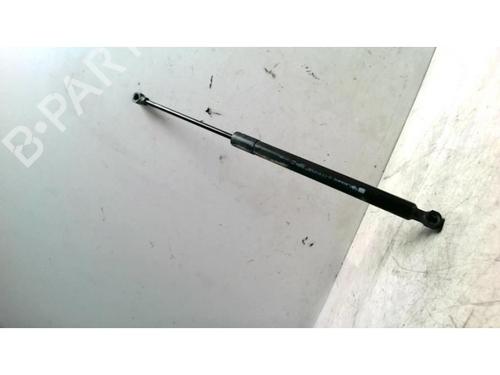 Hood lift support RENAULT CLIO IV (BH_) 1.5 dCi 75 | BP25424651C139 