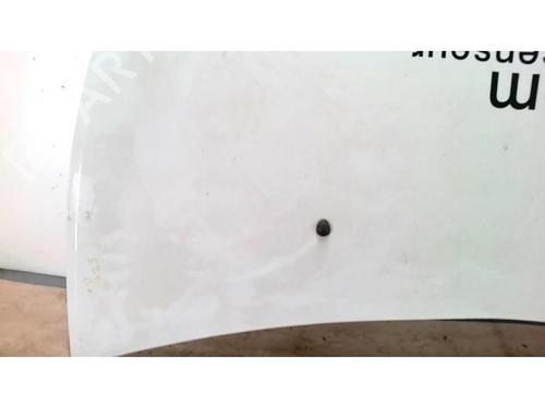 Hood RENAULT CLIO III (BR0/1, CR0/1) 1.5 dCi | BP25421422C1 