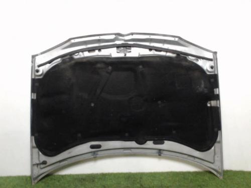 Hood VW GOLF IV (1J1) 1.9 TDI | BP25393866C1 