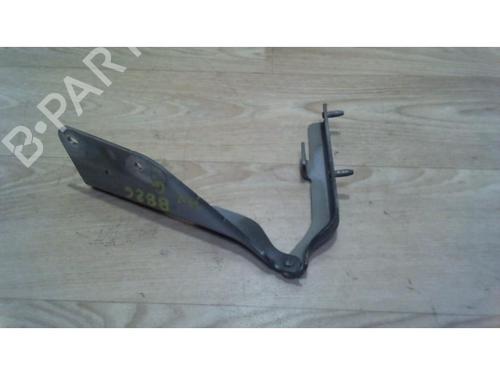 Hinge/Door check strap CITROËN C3 I (FC_, FN_) 1.4 HDi | BP25384638C146 