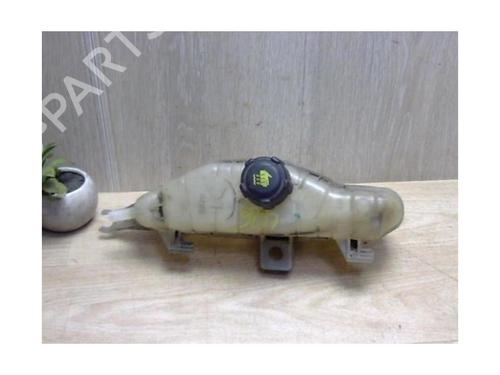 Expansion tank RENAULT CLIO III (BR0/1, CR0/1) 1.5 dCi (BR17, CR17) | BP25408881C120 