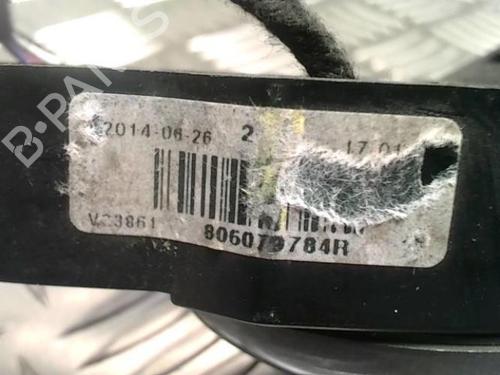 Front left exterior door handle CITROËN C3 Picasso (SH_) 1.6 HDI 90 | BP26380356C128 