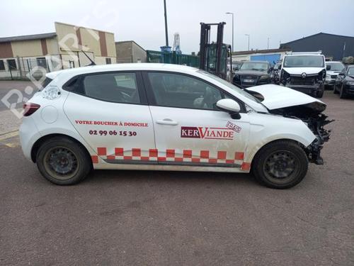 Interior roof handle RENAULT CLIO V (B7_) 1.5 Blue dCi 85 (B7AG) | BP30508645I35 