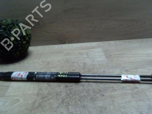 Used Tailgate lift support FIAT BRAVO II (198_) 1.6 D Multijet (198AXH1B) (105 hp) 25410243